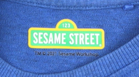 Sesame Street Boys Blue Graphic Long Sleeve T-Shirt 2-3 Years
