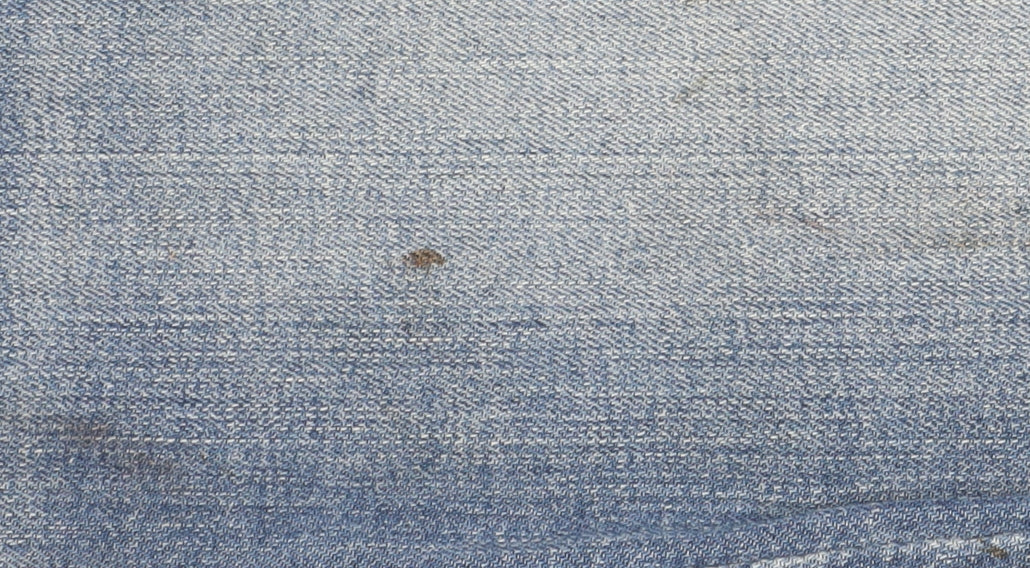 Wrangler Women's Blue Slim Straight Jeans Size 10