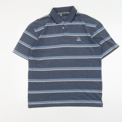 Greygoose Men's Blue Striped Polo, Medium, Casual