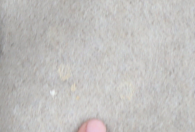 Wallis Women's Beige Pea Coat M with Button Detail