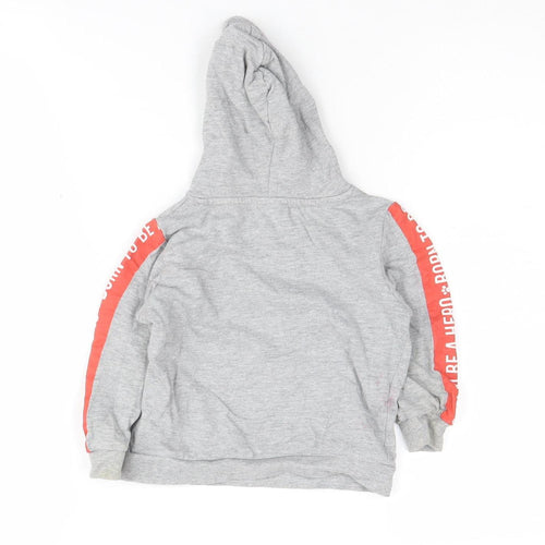 Nickelodeon Boys Grey PAW Patrol Hoodie 2-3 Years Pullover