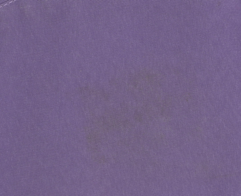 EWM Women's Purple Long Coat Size 16, Collared Style