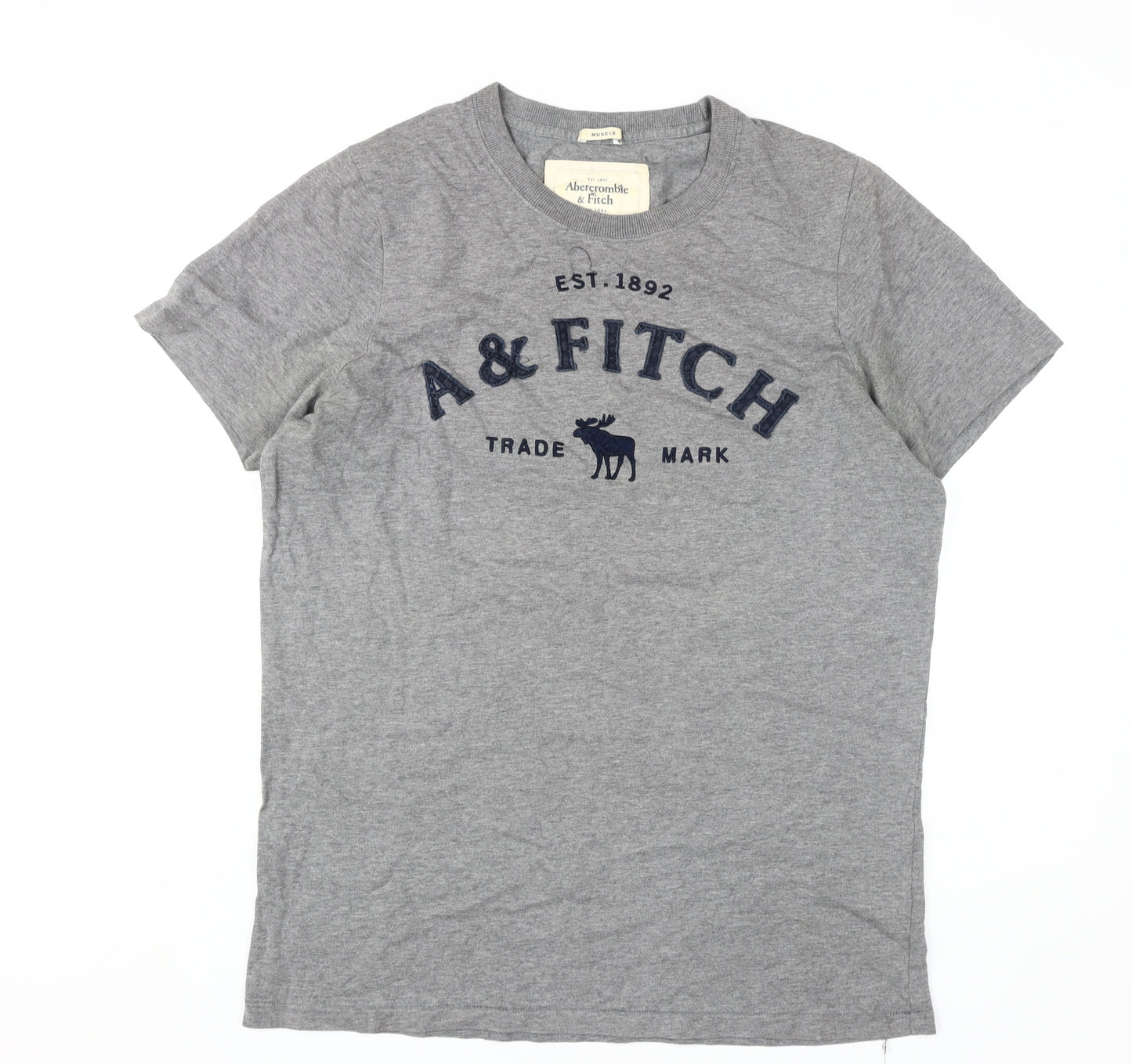 Abercrombie & Fitch Men's Grey XL Logo T-Shirt