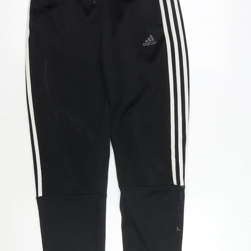 adidas Boys Black Track Pants 14 Years Regular Fit