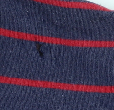 Ralph Lauren Men's Blue Striped Polo Shirt XL