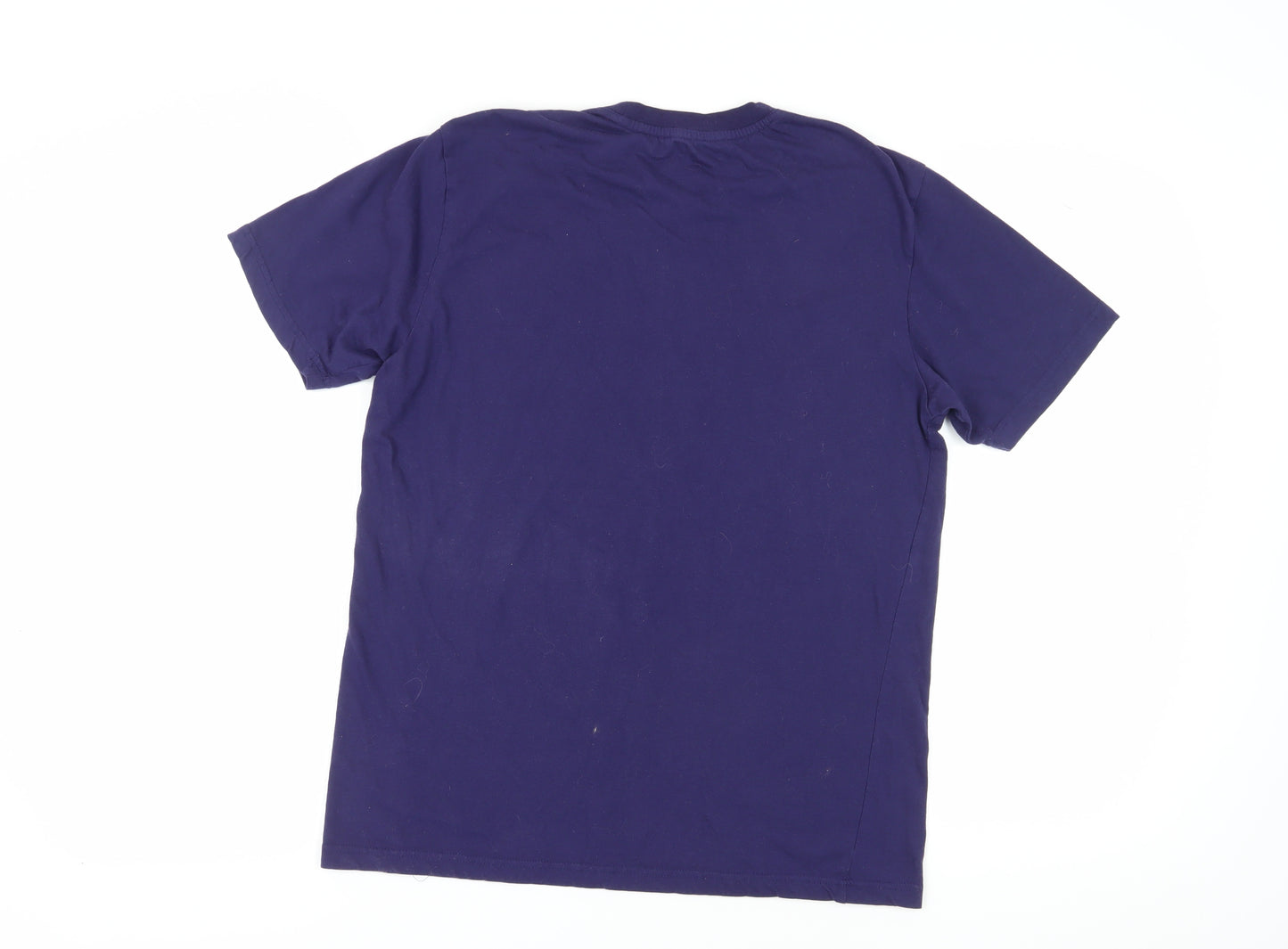 Men's Blue Regular Fit Sports T-Shirt L