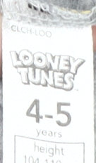 Looney Tunes Boys Grey Long Sleeve T-Shirt 4-5Y Pullover