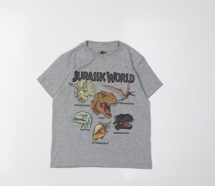 Boys Jurassic World Grey Graphic T-Shirt XS