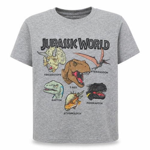 Boys Jurassic World Grey Graphic T-Shirt XS