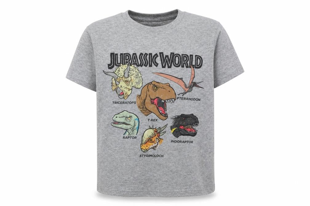 Boys Jurassic World Grey Graphic T-Shirt XS