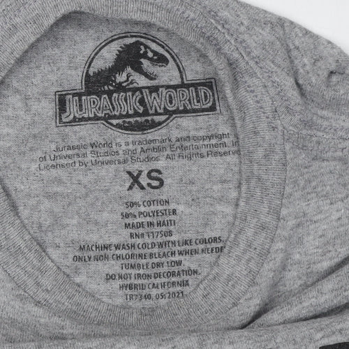 Boys Jurassic World Grey Graphic T-Shirt XS