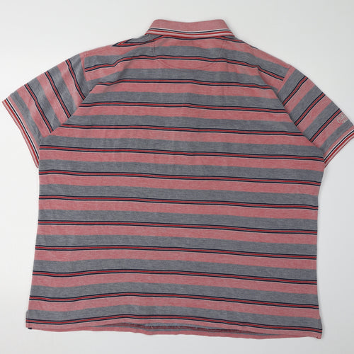 Cotton Traders Men's Multicoloured Striped Polo 2XL