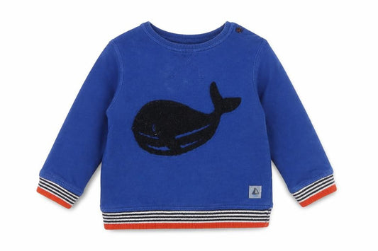 Front view of Junior J unisex blue whale pullover 3-6m