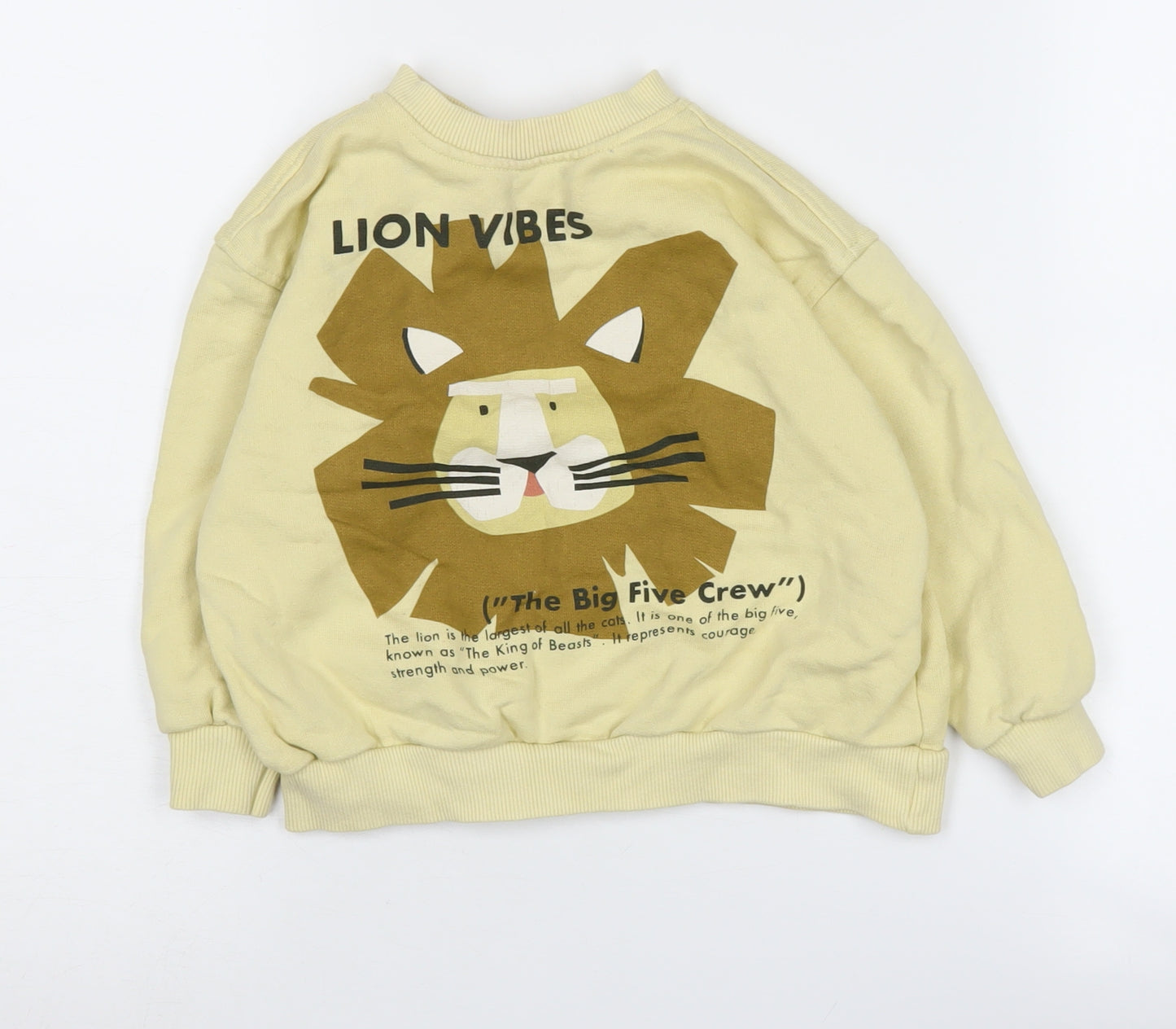 Zara Boys Beige Graphic Print Sweatshirt 2-3 Years Pullover