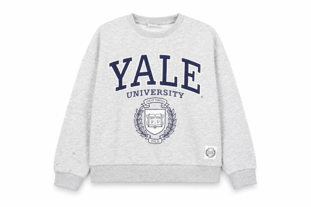 Front view of Yale University Grey Crew Neck Kids Sweatshirt 11-12Y
