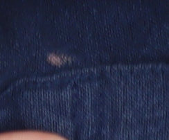 Next Men's M Blue Cotton Button-Up Shirt