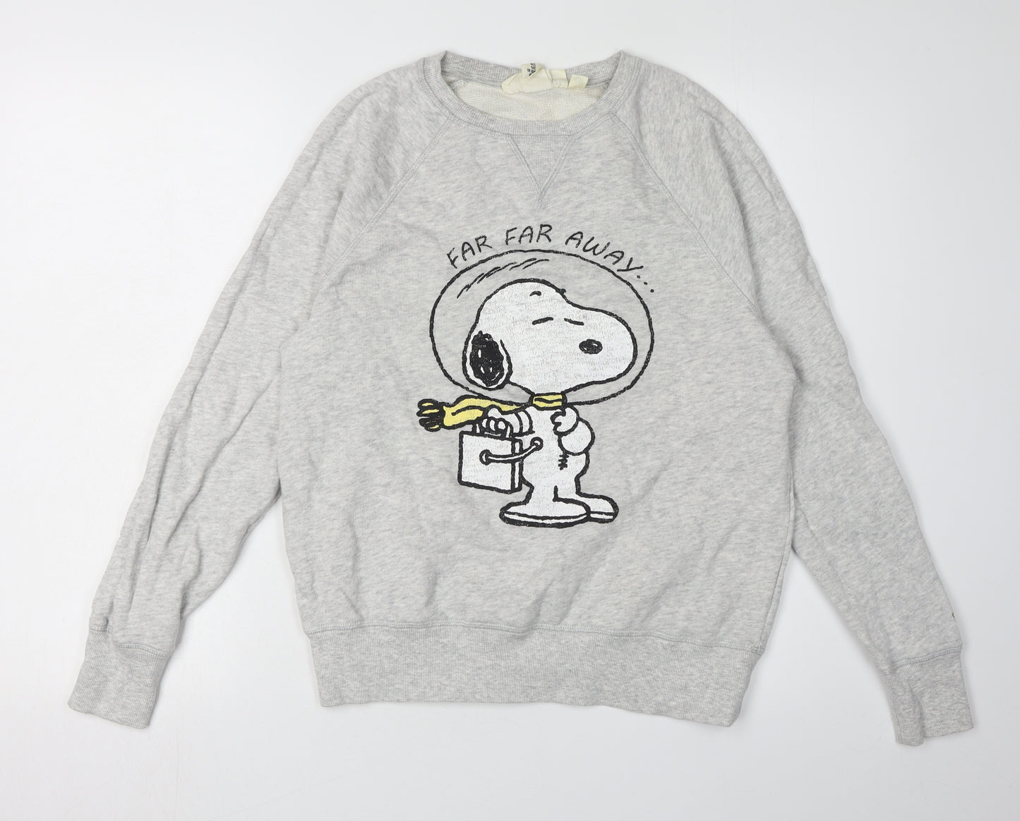 Unisex Grey Snoopy Sweatshirt, Size S, Peanuts Graphic