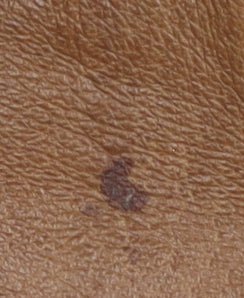 South Women's Brown Leather Bomber Jacket Size 12