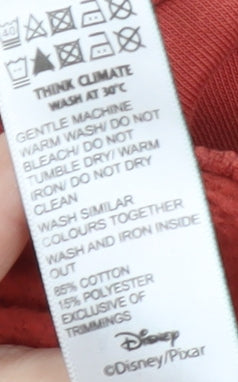 Disney Boys Red Cars Pullover Sweatshirt 3-4 Years