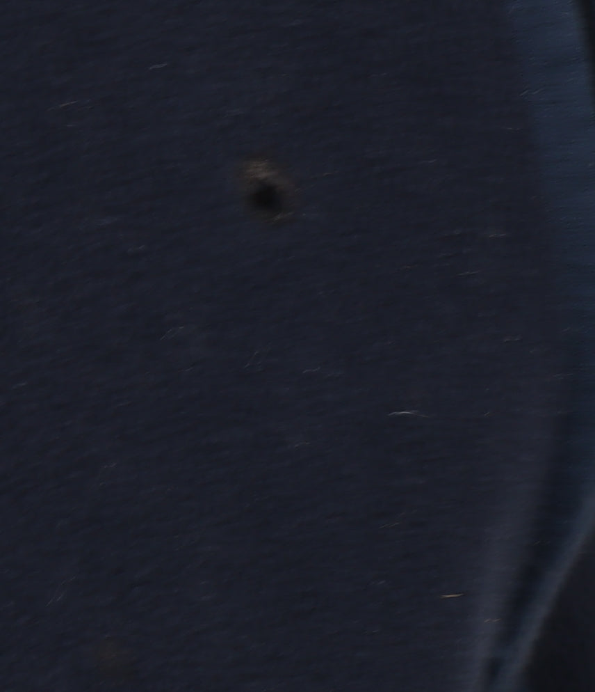 Berghaus Men's Blue Fleece Jacket Size L - Casual Outdoor