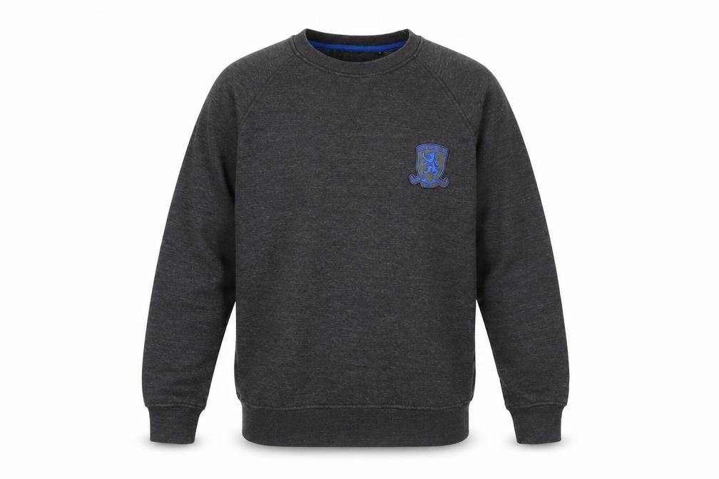 Front view of MFC Men's Grey Pullover Sweatshirt -, size S