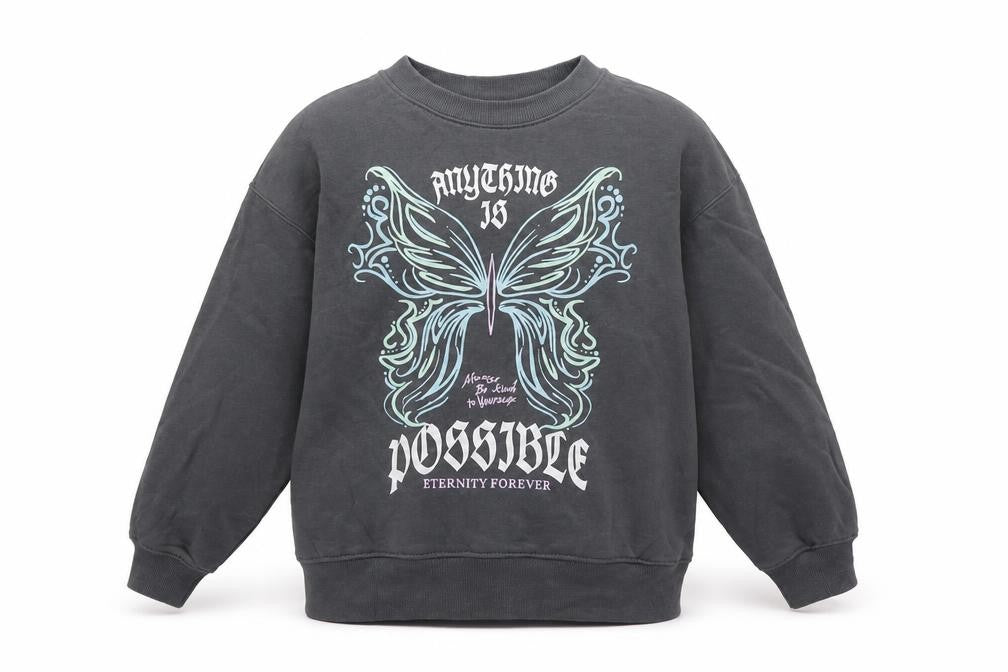 H&M Girls Grey Butterfly Graphic Sweatshirt 9-10 Years