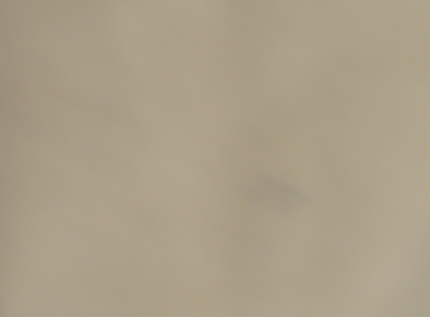 U.S. Polo Assn. Women's Brown Long Sleeve Casual Dress L