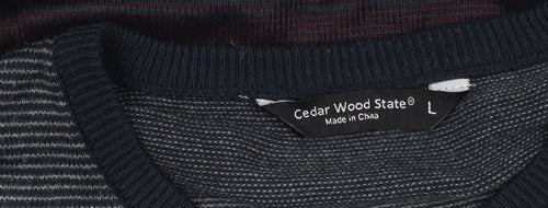 Cedar Wood State Men's Multicoloured Striped Pullover Jumper L