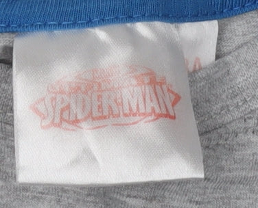 Spider-Man Boys Long Sleeve Grey T-Shirt 3 Years