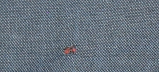 Next Men's Blue Wool Blazer 42R Regular Formal