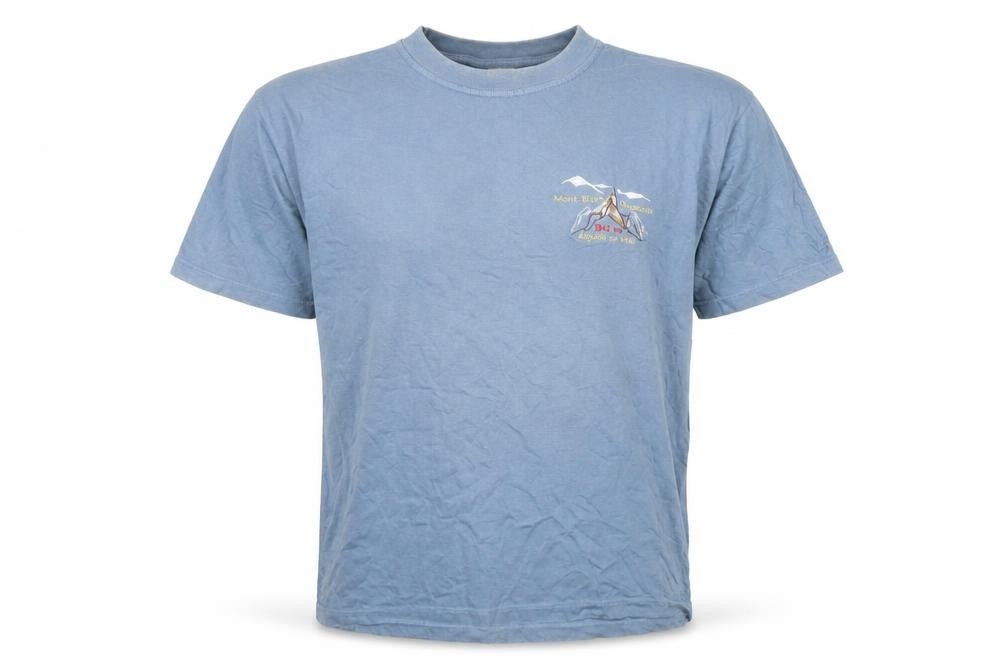 Classic Tee Men's Blue Cotton Crew Neck T-Shirt L