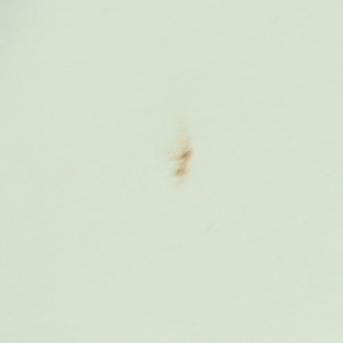 BHS Women's Green Mini Skirt, Size 20, Knee Length