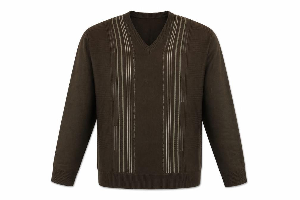 Front view of Cavallo Men's XL Brown V-Neck jumper