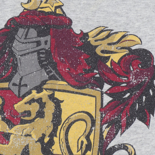 Harry Potter Grey Women’s T-Shirt Size 10, Gryffindor