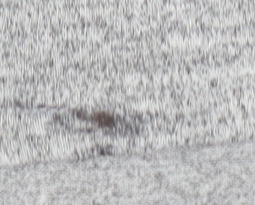 Zara Womens Grey Long Sleeve Jersey Top Size 10