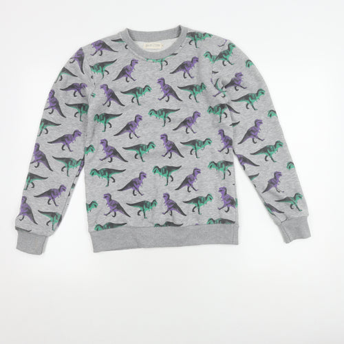 Natural History Boys Grey Dinosaur Sweatshirt S Pullover