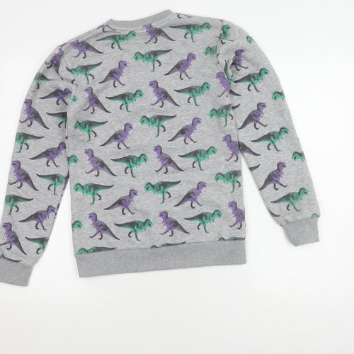 Natural History Boys Grey Dinosaur Sweatshirt S Pullover