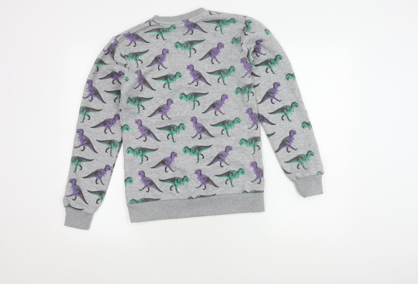 Natural History Boys Grey Dinosaur Sweatshirt S Pullover