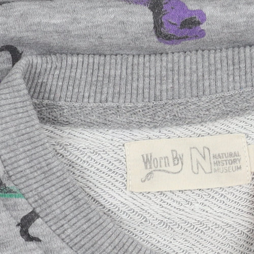 Natural History Boys Grey Dinosaur Sweatshirt S Pullover