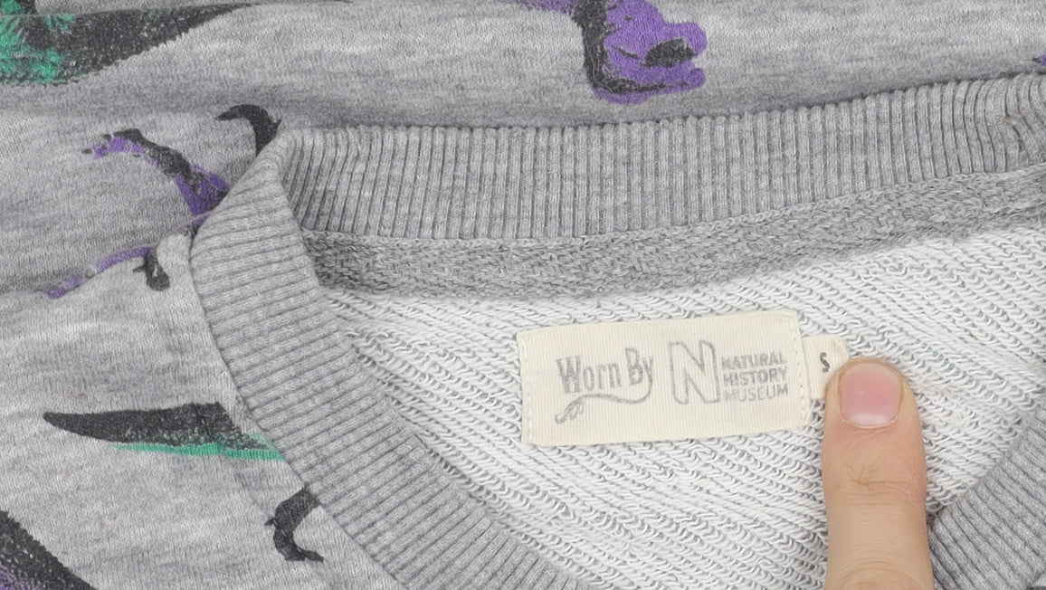 Natural History Boys Grey Dinosaur Sweatshirt S Pullover