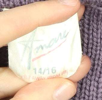 Amari Women's Purple V-Neck Pullover Jumper