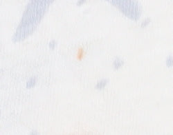 Laura Ashley Women’s Ivory Star UK 10 Top