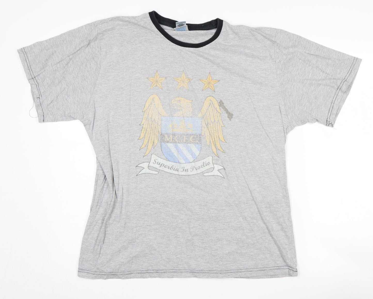 City Grey Logo Men's Large T-Shirt