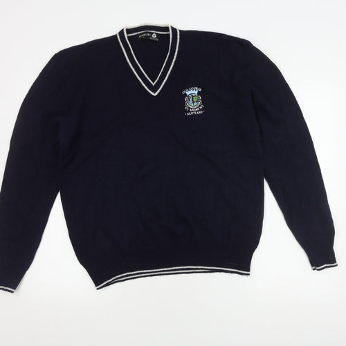 Henbury Men's Blue V-Neck Pullover Jumper L