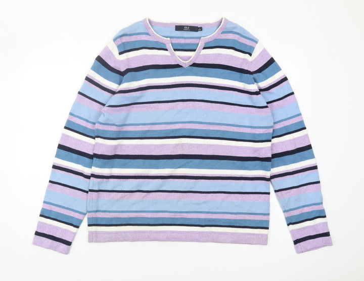 Isle Essentials Women's Multicoloured V-Neck Pullover, Size L