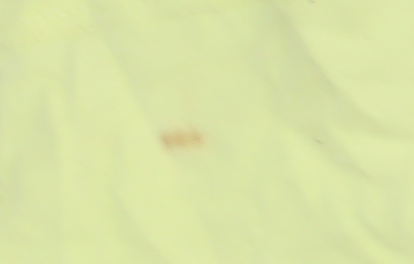 Disney Girls Yellow Stitch T-Shirt Age 14-15 Years Casual