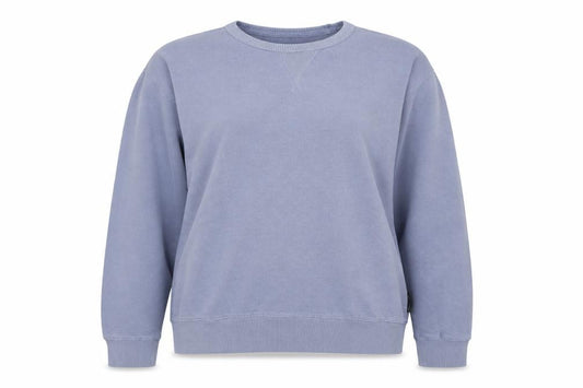 Front view of French Connection Blue Pullover Sweatshirt - Medium unisex