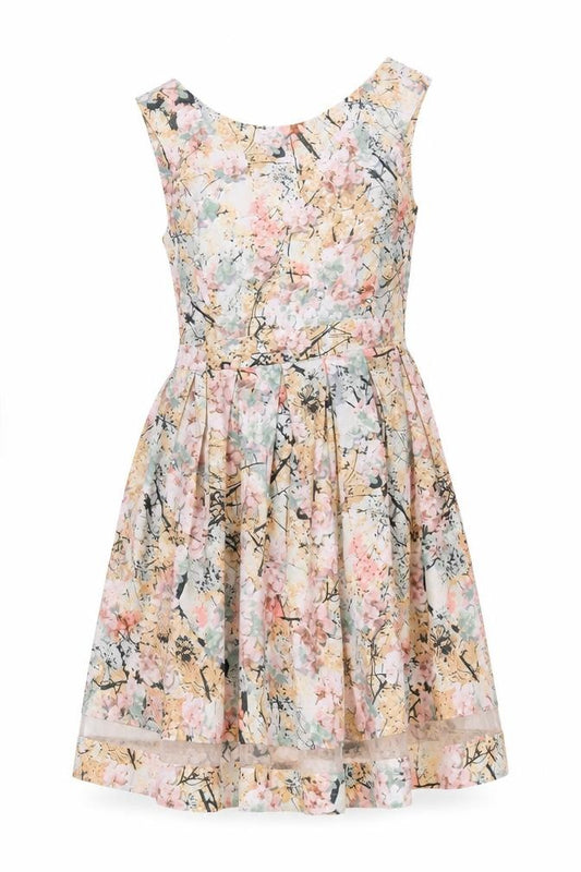 Front view of Dorothy Perkins Women's Multicoloured Floral A-Line Dress, size 12