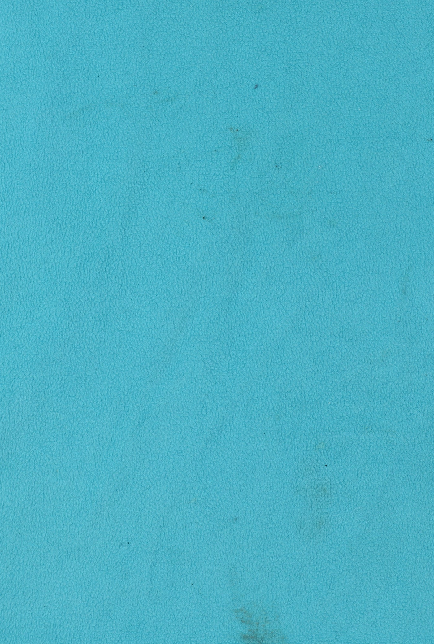 Peter Storm Women's Blue Fleece Size 14 Sweatshirt