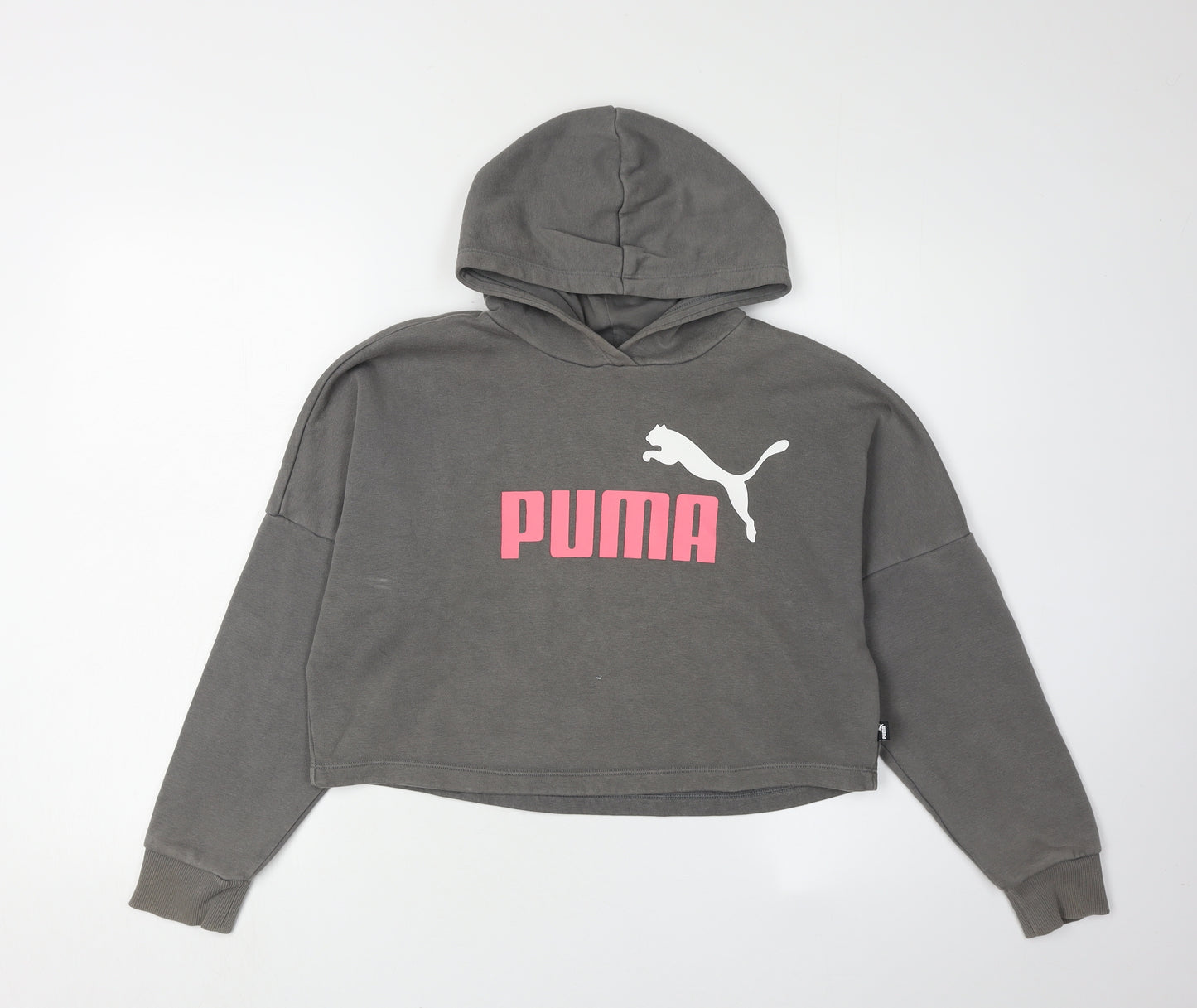 Puma Girls Grey Logo Hoodie, Size 11-12 Yrs, Casual Style